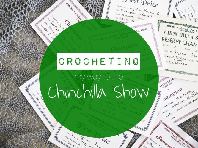 crocheting-chinchilla-show
